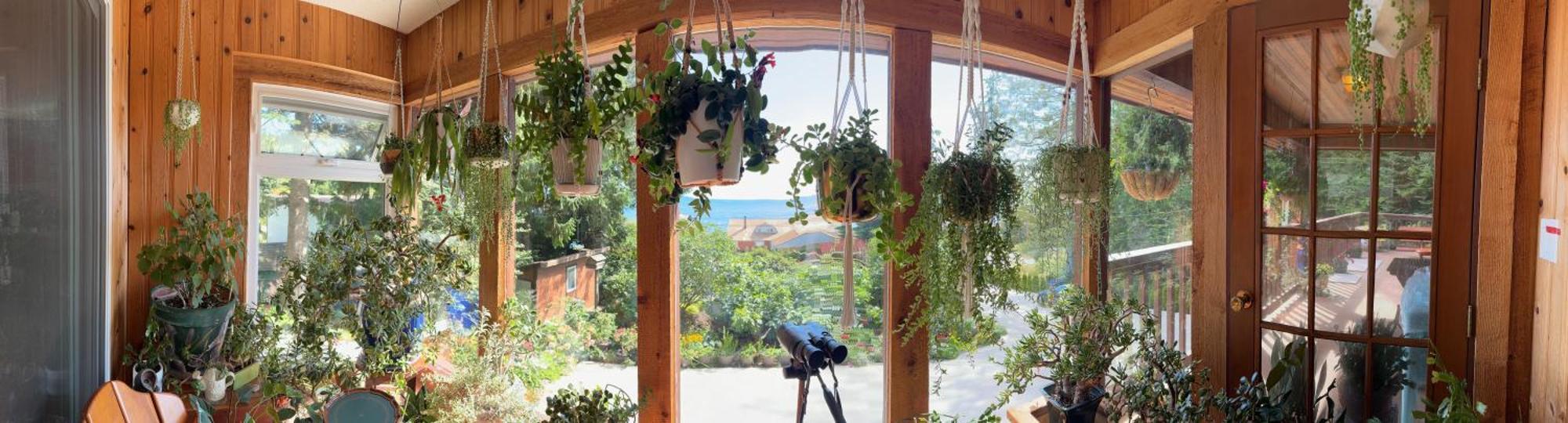 Garden Bridge House Villa ซีเชลท์ ภายนอก รูปภาพ